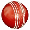 Cricket Balls